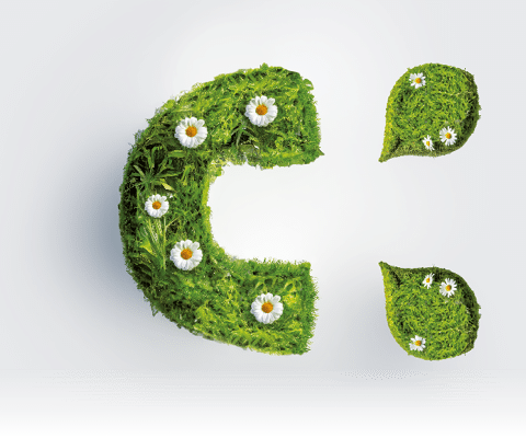 simbolo Curasept con croce farmacia in verde erba e margherite per il report di sostenibilità di Curasept per il biennio 2020-2022